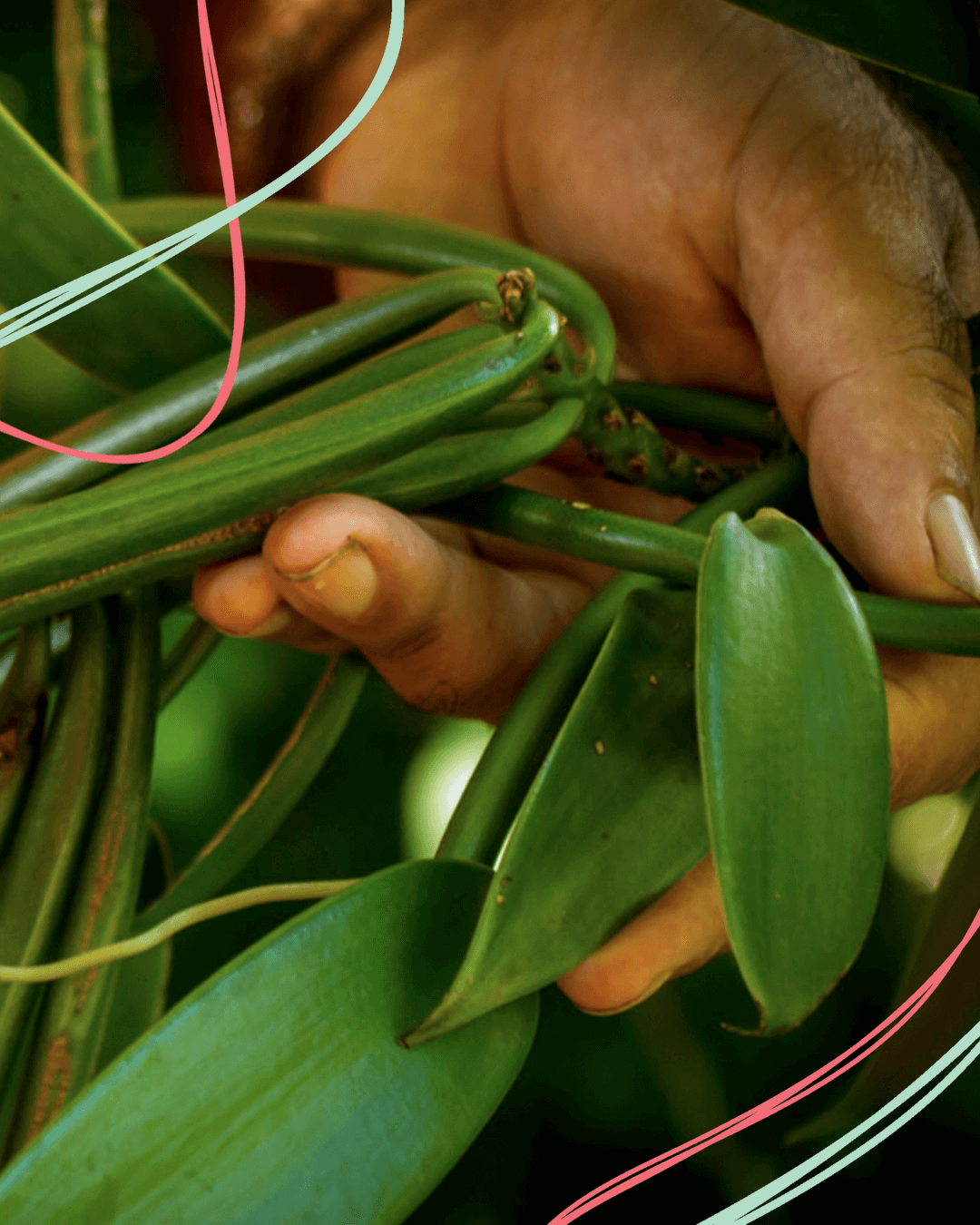 Pratiques agricoles durables