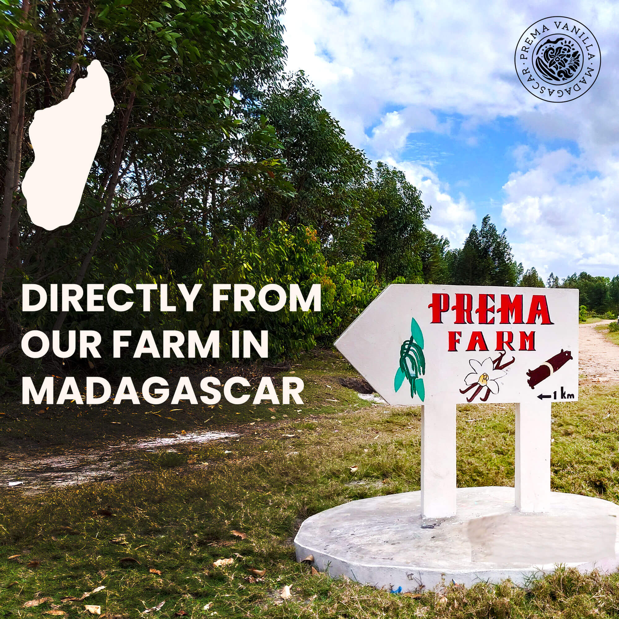 Poudre de vanille Bourbon de Madagascar