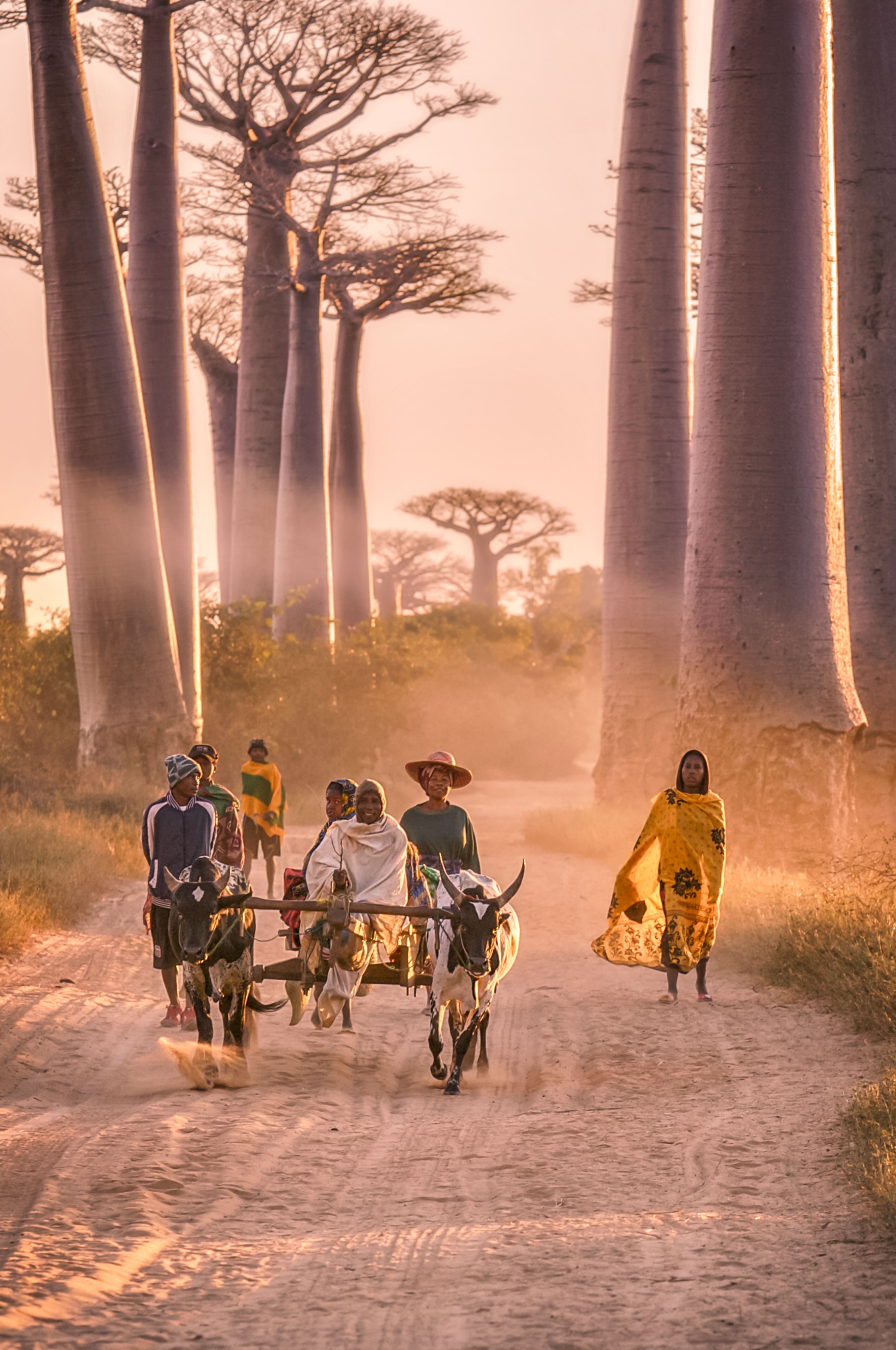 Produit authentique de Madagascar