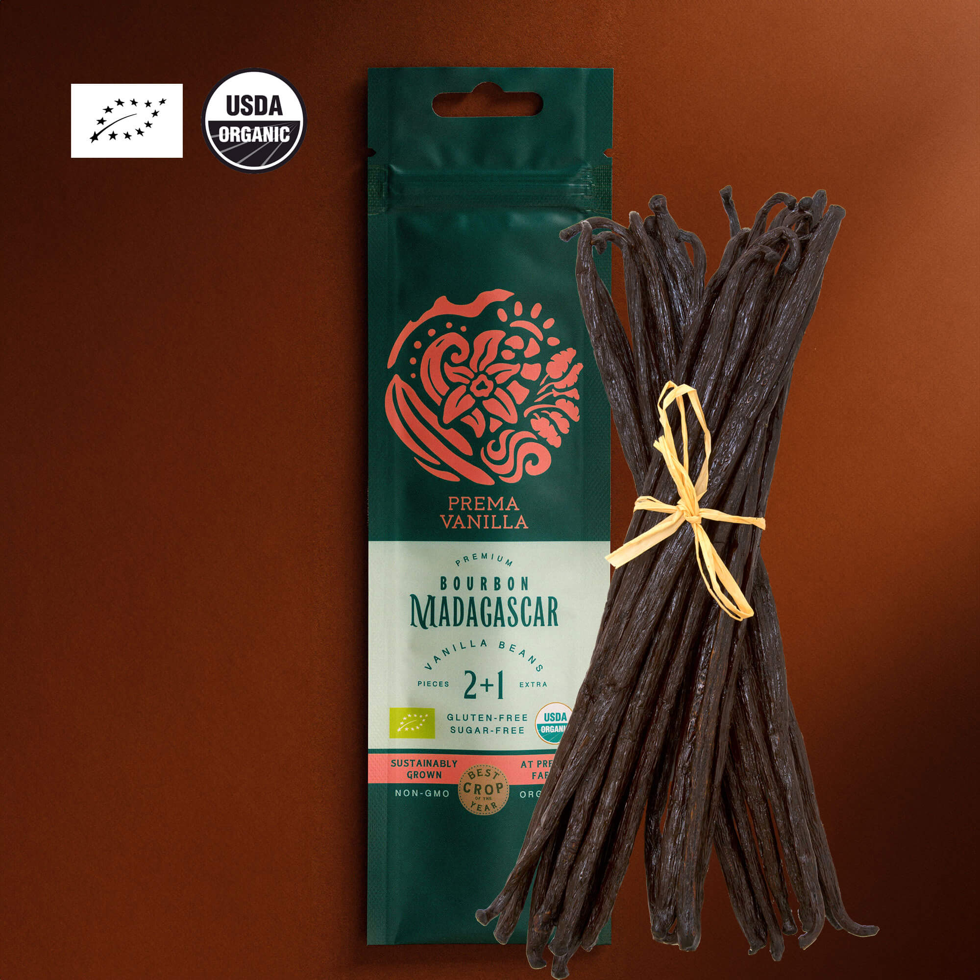 Gousses de vanille bio de Madagascar Gourmet (14-18 cm)