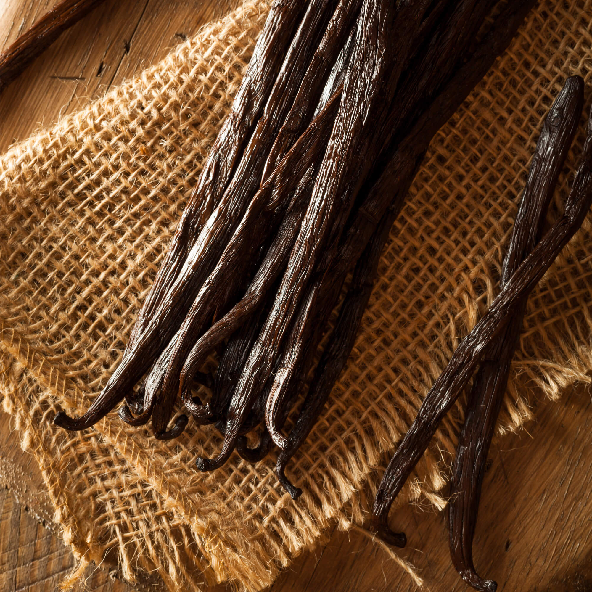 vanilla-pod-bundle.jpg